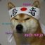 Ninja Doge