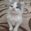Фантыч