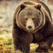 ХозяинТайги