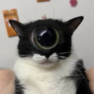 !OOPS inteligentuandrei - steam id 76561199083855785