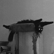 Itz_lisek . skins.army