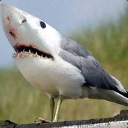 Atmo - steam id 76561197970944571