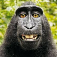 MonkeyBum Steam avatar