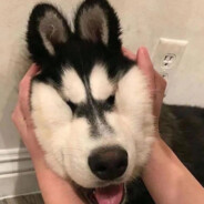 单手压枪不快也光