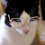 被肘飞的乌冬面