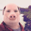 John Pork