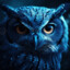 blue owl