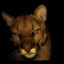 Lit.fam's avatar