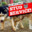 Studdog