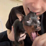 吃啥呢给我也来一口