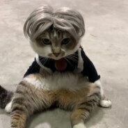 扣死脚皮拌痰给您吃