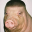 КАБАН Avatar of player КАБАН