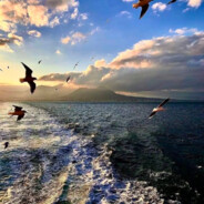 平时乐意整点烧烤