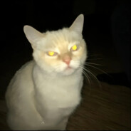 忍不住化身一条固执的yu