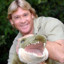 Steve Irwin