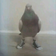 k0rv1n8 avatar