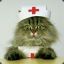 Nurse Chan