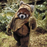 我在人间凑数的日子