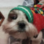 Kielon_420