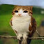 Blytz_