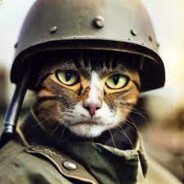 SoldierCat - steam id 76561199749569625