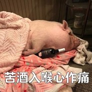 亦如黎明中的花朵