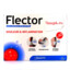 Flector