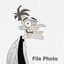 Doofensmirtz