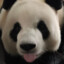 叫我小志o丶