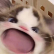 晚风