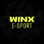 WINX E-sport