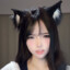 悉尼TitanHC