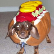 weendog avatar
