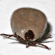 el Muerte - steam id 76561197971042157