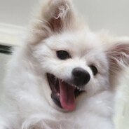 mochi