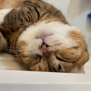 ヴィー楽しくいくよ