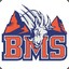 BMS