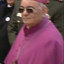 Purple Patriarch