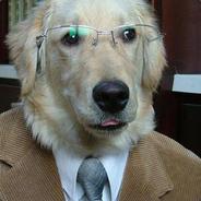 Proffesor Dog