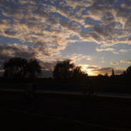 Diana小姐的宝贝