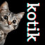 kotik