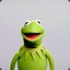 Kermit The Frog Impersonator