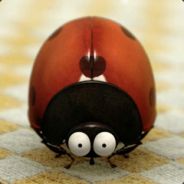 Cocotteseb