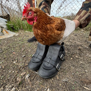 облили пивом