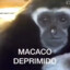 Macaco Deprimido