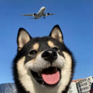 吃啥呢给我掰点