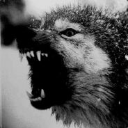 Fenrye - steam id 76561197970957508