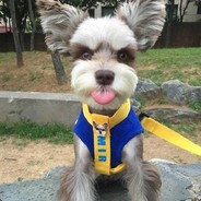 最爱我家瑾公主