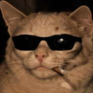 El Gato