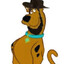scooby JEW